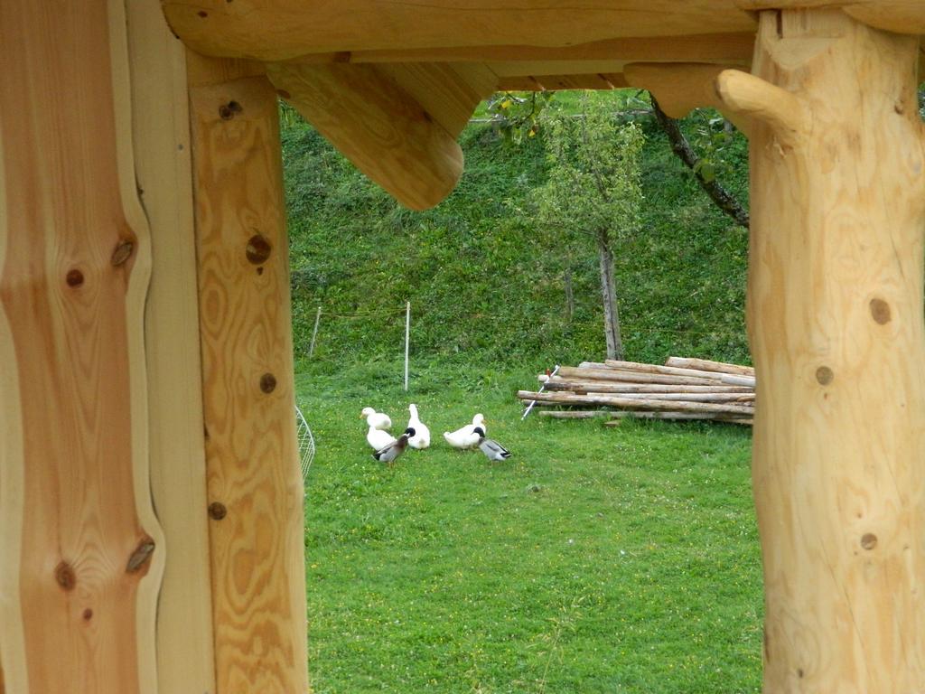 Glamping Organic Farm Slibar Villa Tržič Dış mekan fotoğraf