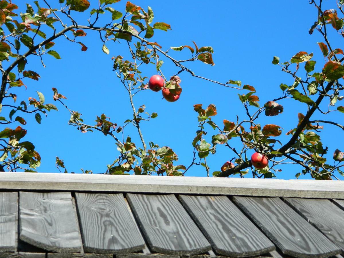 Glamping Organic Farm Slibar Villa Tržič Dış mekan fotoğraf