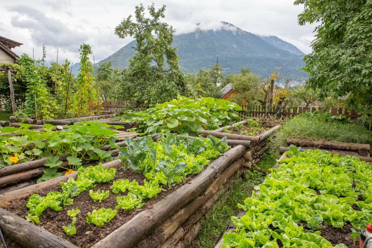 Glamping Organic Farm Slibar Villa Tržič Dış mekan fotoğraf