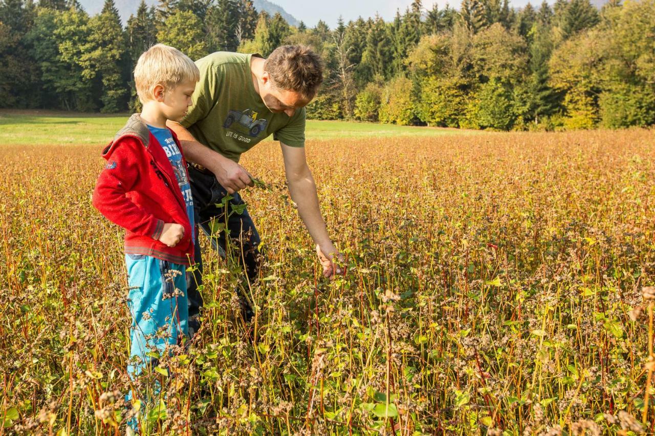 Glamping Organic Farm Slibar Villa Tržič Dış mekan fotoğraf